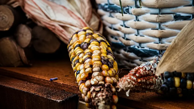 Post-harvest food loss at an African grain market